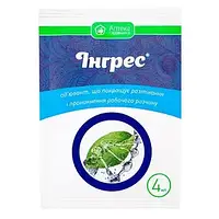 Прилипач Інгрес, 4 мл, Прикрашить