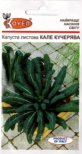 Капуста листова Кале кучерява 0.5 г ТМ Коуел, фото 1