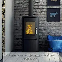 Піч Kratki Koza AB сталева + чавун (подача повітря з вулиці), фото 6