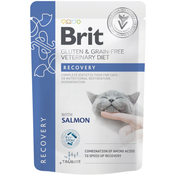 Вологий корм для котів Brit Veterinary Diet Cat GF Recovery пауч з лососем 12 шт (1020 г)