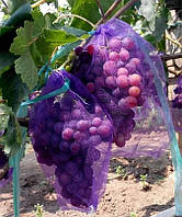 Сітка для захисту винограду від ос фіолетова 28х40 см 5 кг