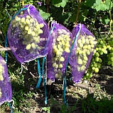 Сітка для захисту винограду від ос фіолетова 28х40 см 5 кг. 100шт, фото 5