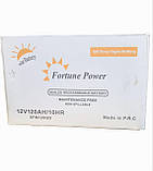 Акумулятор гелевий Fortune Power GEL Battery 120 Ah 12V, фото 2