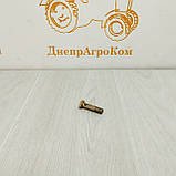 Болт зливного колектора ф10 ЮМЗ (2 отвори) 36-1104787-01, фото 2