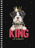 Блокнот А6 80 арк спіраль клітинка тисн фольгою STUDENT 6087 Асорті, фото 2