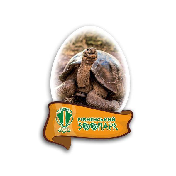 Магніт яйце "Рівненський зоопарк" (черепаха)