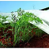 Агроволокно ТМ "Shadow" (Чехія). Щільність - 42g/m²; 1,6х100м. Біле., фото 6