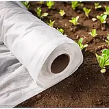 Агроволокно ТМ "Shadow" (Чехія). Щільність - 19g/m²; 1,6х50м. Біле., фото 5