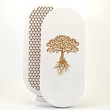 Дошки садху з мідними цвяхами