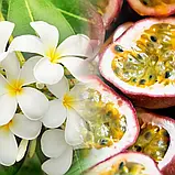 Аромадифузор для дому Monoi & Passion Fruit (Моной і маракуйя) Collines de Provence, 100 мл, фото 3