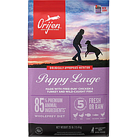 Orijen Puppy Large (Оріджен Паппі Ладж) сухий корм для цуценят великих порід