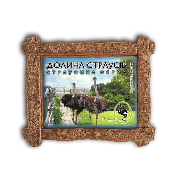 Магніт-дерев'яна рамка "Долина страусів. Страусина ферма", фото 1
