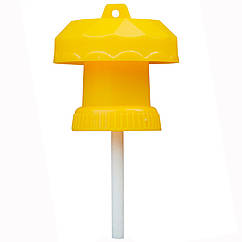 Пастка для плодових мух