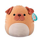 М'яка іграшка Squishmallows – Шарпей Мортон (30 см) SQCR05501, фото 4