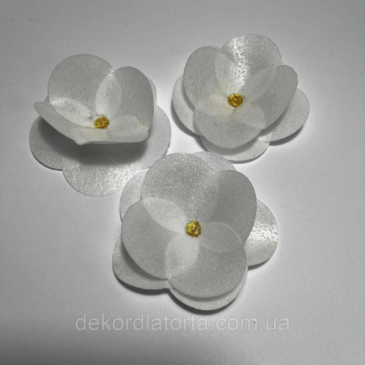 Вафельний декор Камелія біла