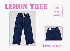 Джинсы для девочек оптом, Lemon tree, 8-16 рр., арт. 380