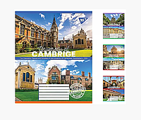 Тетрадь школьная ученическая на 18 листов в линию 1 Вересня UNIVERSITY Тетради с плотной цветной обложкой