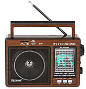 Цифровий портативний FM радіоприймач GOLON RX-9966 UAR всехвильове переносне акумуляторне радіо колонка