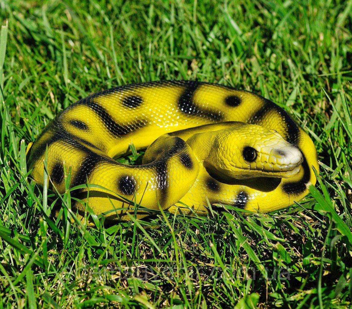 Садова фігура Пітон