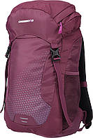 Рюкзак туристичний Crossroad APEX 20L (purple)