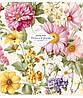 Зошит 96арк. кліт. Школярик "Flowers & plants" УФ лак №096-3326K(5)(50), фото 3