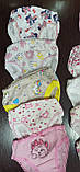 Труси дитячі, р.90-98,98-104,104-110,110-116, фото 2