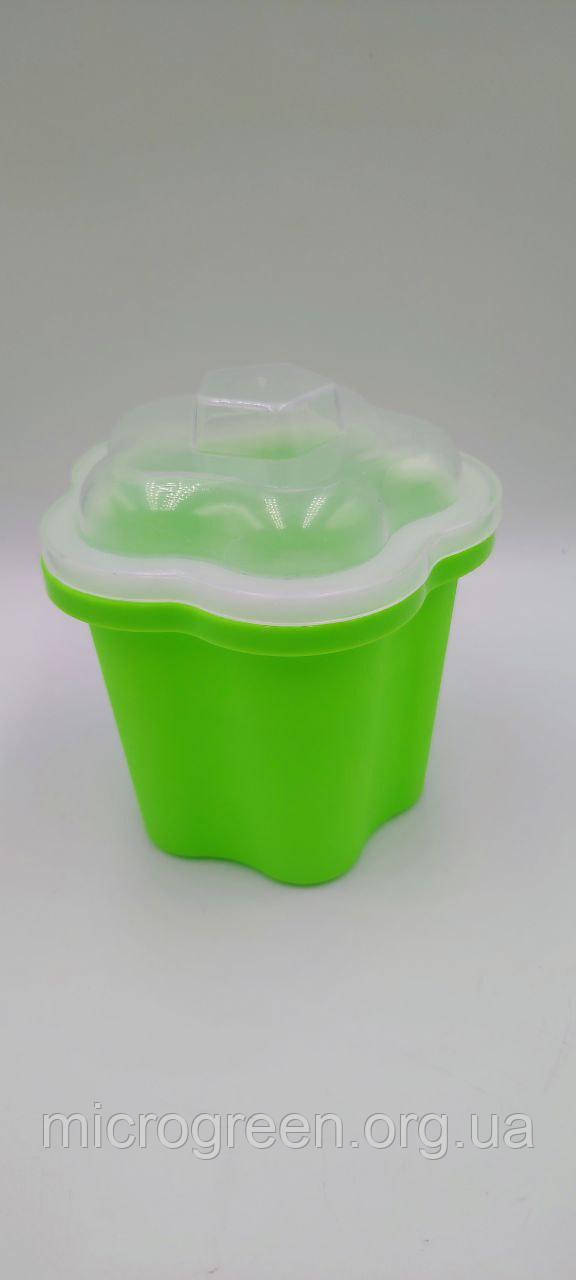 Пророщувач насіння гідропоніка мікрозелень в домашніх умовах