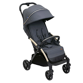 Коляска прогулянкова Chicco Goody XPlus Stroller,