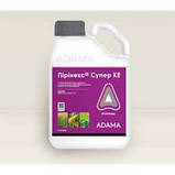 Інсектицид ПІРІНЕКС Супер 1л., фото 2