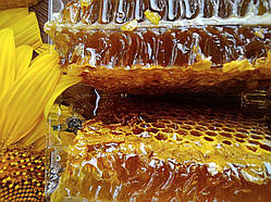 2025 р Стільники (соти) меду різнотрав'я - соняшник 300 грам