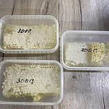 2025 р Стільники (соти) меду різнотрав'я - соняшник 300 грам, фото 6