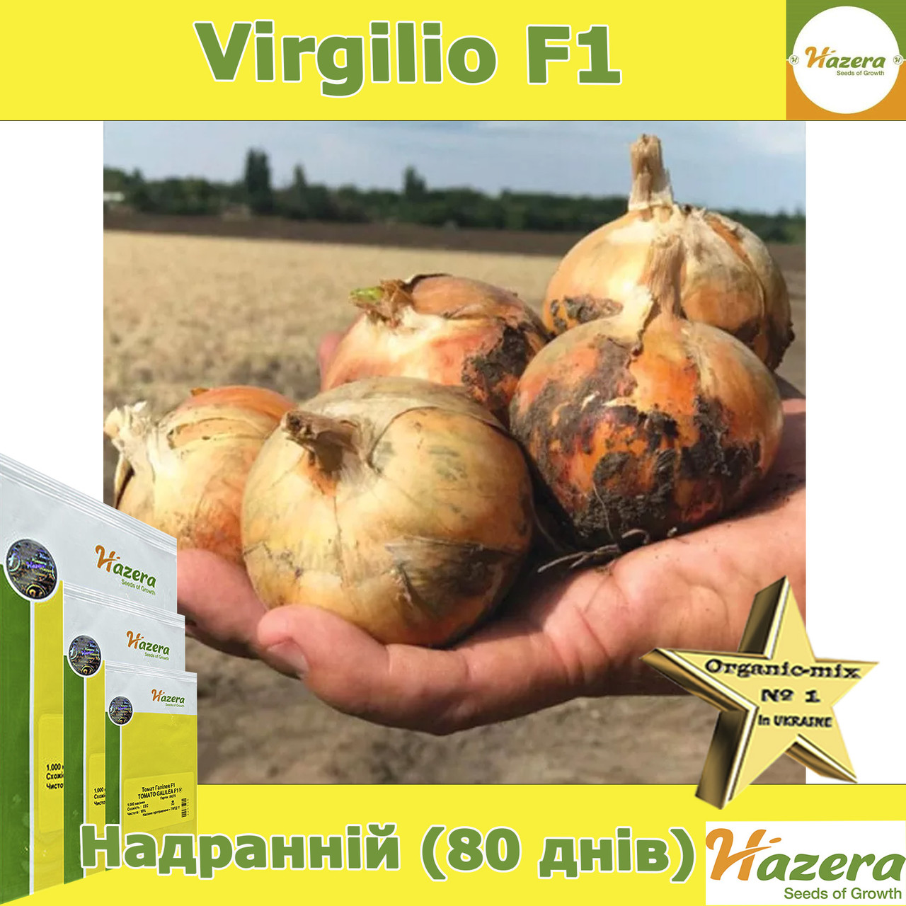 Цибуля надрання Вірджіліо F1, ТМ Hazera (Голландія), 250 000 насінин