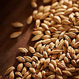 Солод карамельний CARAMUNICH II - Карамюніх 2 тип 1кг - Weyermann Німеччина, фото 2