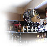 Сферичне дзеркало спостереження 800 MasteRoad Чехія  (2257-267), фото 4