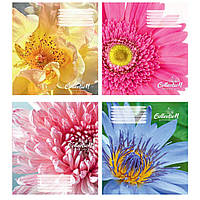 Зошит 12 арк клітинка 931 Макро 2025 дів