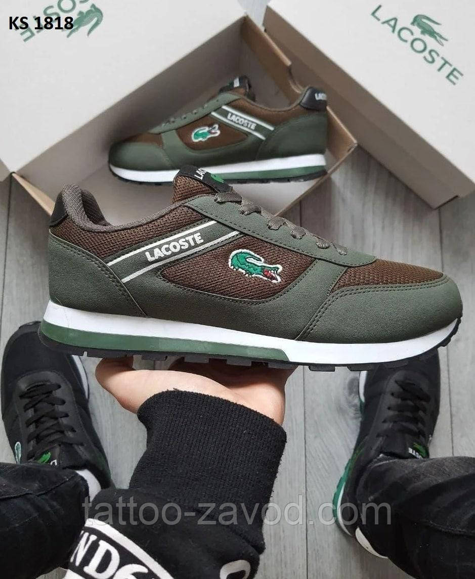 Кросівки чоловічі зелені 42 Lacoste, фото 1