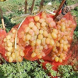 Сітка мішечок для захисту винограду від ос червона 22х33 см 2 кг, фото 10