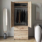 Шафа двостулкова з полицями та штангою Шафи розпашні дизайнерські ДСП Висока шафа з 3 висувними шухлядами, фото 2