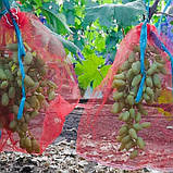 Сітка для захисту винограду від ос червона 28х40 см 5 кг, фото 6