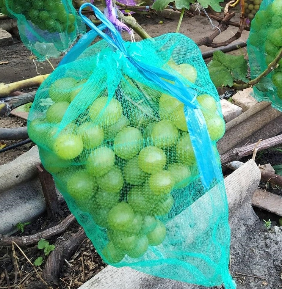 Сітка мішечок для захисту винограду від ос 22х33 см. на 2кг. 50 шт. зелена Євро сітка мішок для овочів., фото 1