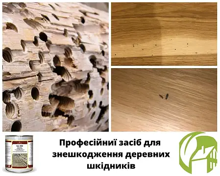Рідина для захисту та лікування деревини від комах HOLZ 2000 - 1 літр, фото 2