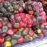 Євро сітка овочева на 40кг. 50х80 см. (26г) 100шт. червона з дрібним вічком, капронова сітка овочева, фото 2