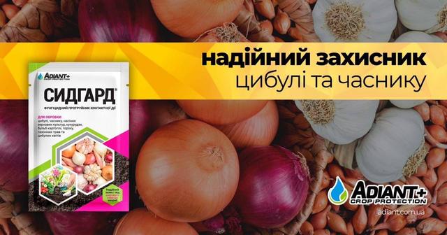 https://agroretail.com.ua/ua/p1130367338-protravitel-sidgard-adiant.html