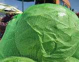 Сітка мішечок для захисту винограду від 22х33 см. на 2кг. 100 шт. зелена Євро сітка мішок для овочів, фото 6