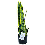 Штучна рослина Engard Sansevieria, 57 см (TW-43), фото 3