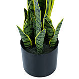 Штучна рослина Engard Sansevieria, 57 см (TW-43), фото 6