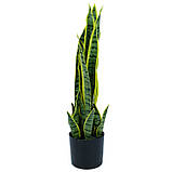 Штучна рослина Engard Sansevieria, 57 см (TW-43), фото 5