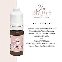 Пігмент для татуажу Chic Brows 06 (10мл)