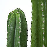 Штучна рослина Engard Cactus, 155 см (TW-40), фото 4