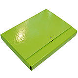 Папка-короб на липучці АКАДЕМІЯ, картонна, А4, 40 мм, PP-покриття, фото 10